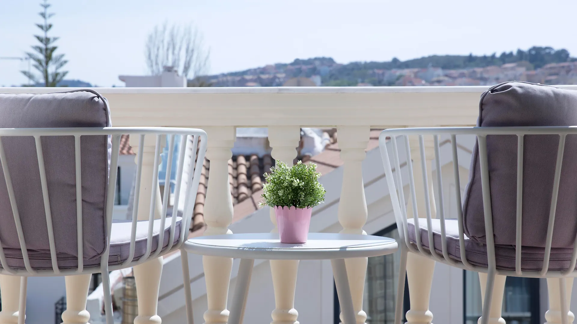 Alley Boutique Hotel And Spa Argostoli  Greece